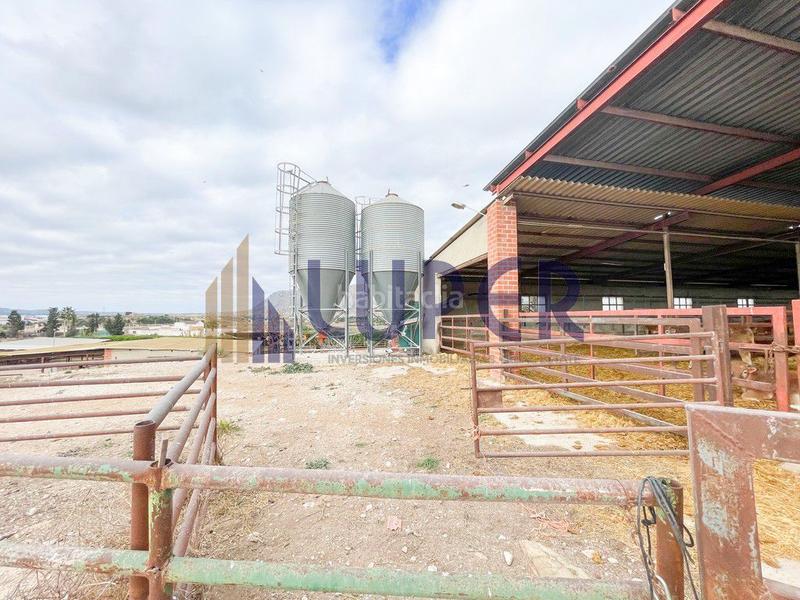 Foto 6c6c38ef-d774-4c02-be3b-bfdc582454cc. Casale in Pla de la Vallonga Alicante