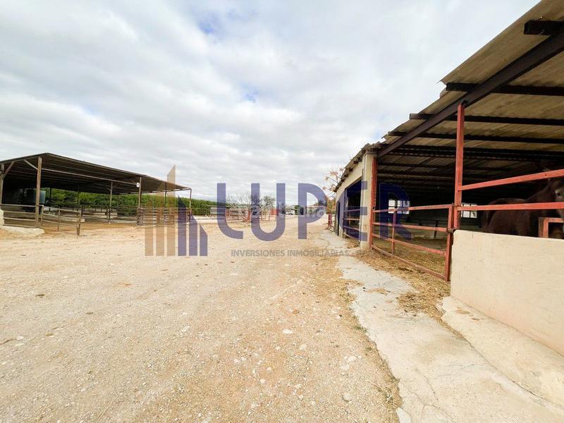 Foto 897290eb-aa39-4637-9096-9b36daf636af. Casale in Pla de la Vallonga Alicante