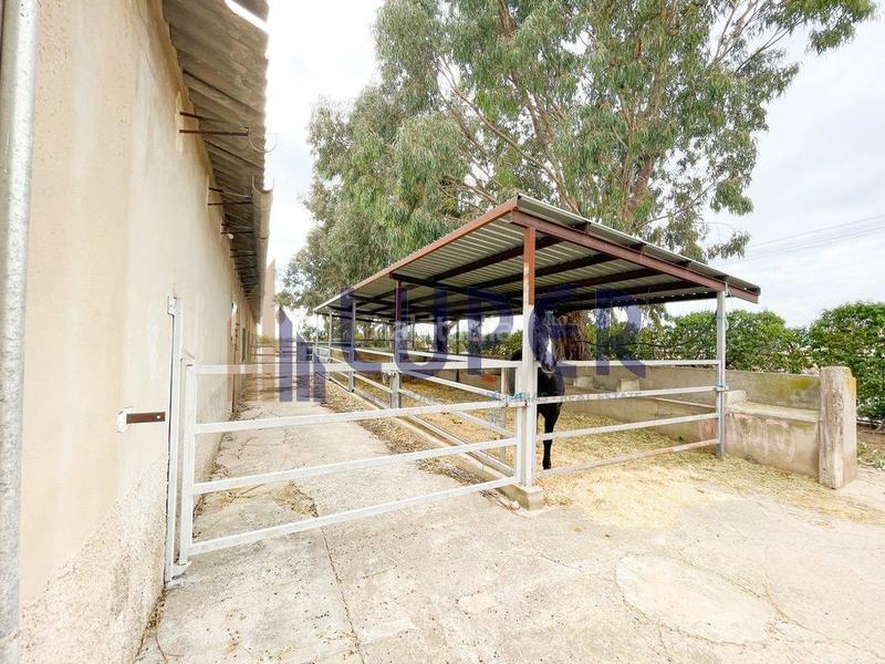 Foto 8c51c6b8-b900-4408-904b-c496dab02403. Casale in Pla de la Vallonga Alicante