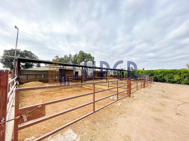 Foto 8cb1e4f5-2aa6-4383-989c-4386a4f24db5. Casale in Pla de la Vallonga Alicante