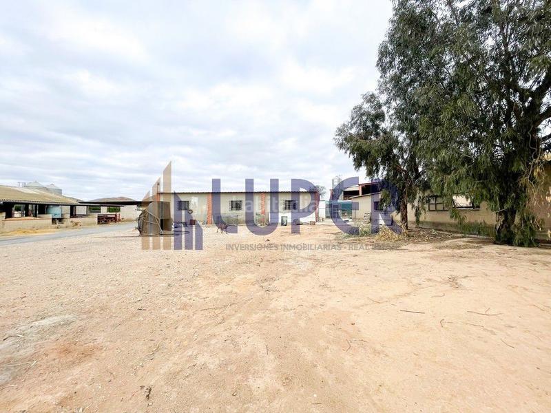 Foto 93dea8da-3e2b-40b9-88f7-5a97b0adde75. Casale in Pla de la Vallonga Alicante