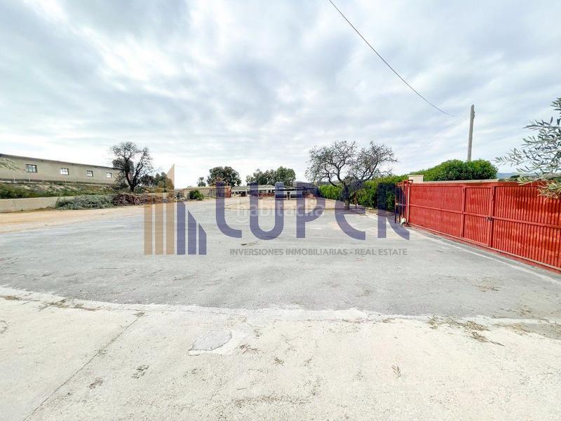 Foto a9802a22-f165-49b8-af89-61dffdc77e6d. Casale in Pla de la Vallonga Alicante