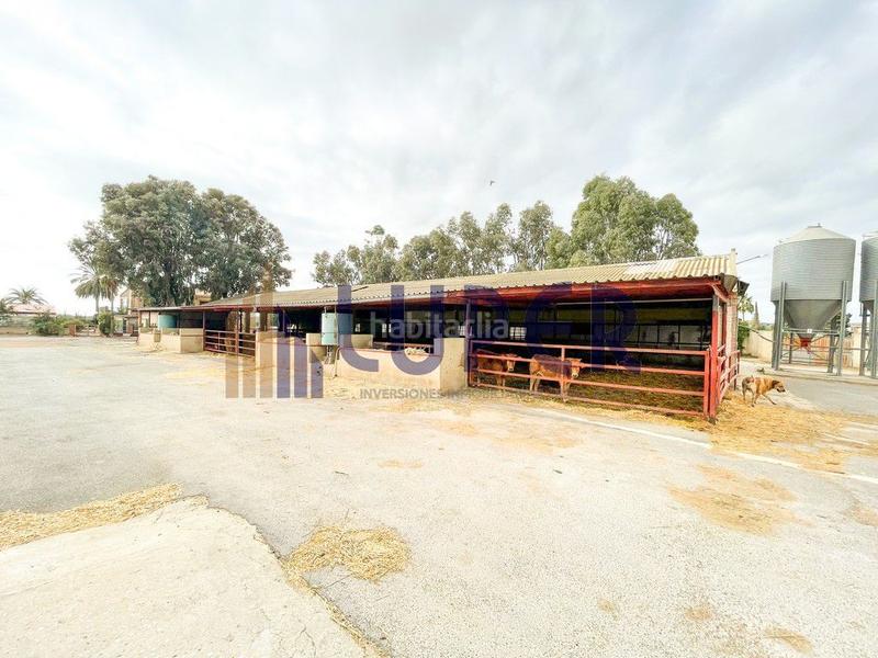 Foto bbab63d3-4029-4aab-a414-5c7e7a9b496c. Casale in Pla de la Vallonga Alicante