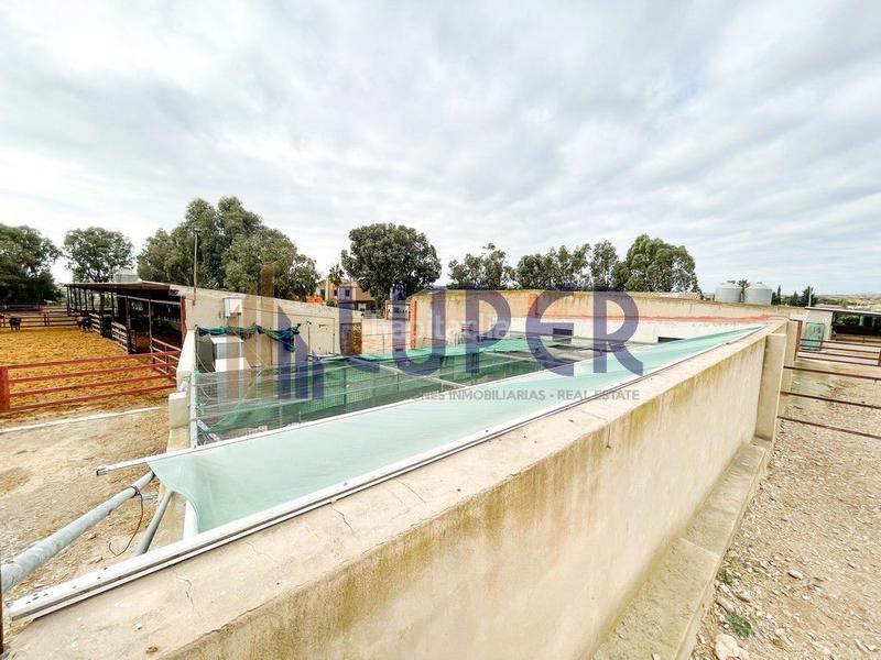 Foto c0797ab7-4442-4f25-9e66-89e35e963022. Casale in Pla de la Vallonga Alicante