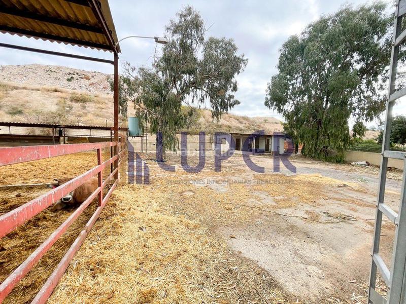 Foto c579c03f-f421-4b4a-938b-fce5ed948555. Casale in Pla de la Vallonga Alicante