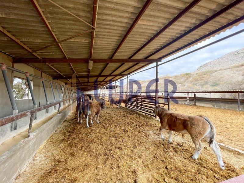 Foto dd2198c0-0775-4030-86b9-650cb0b03d75. Casale in Pla de la Vallonga Alicante