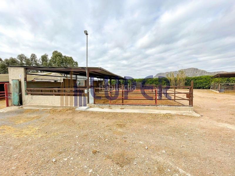 Foto e9d9feee-f857-4c5a-81b0-890c989c7207. Casale in Pla de la Vallonga Alicante