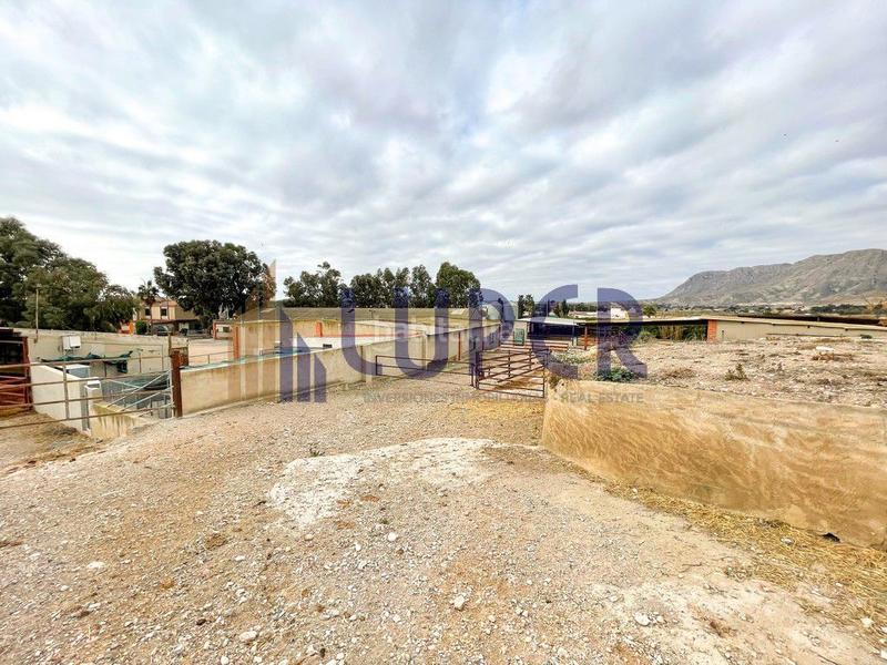 Foto ec31a45b-3862-4e8f-9675-2874f7ed9a4d. Casale in Pla de la Vallonga Alicante