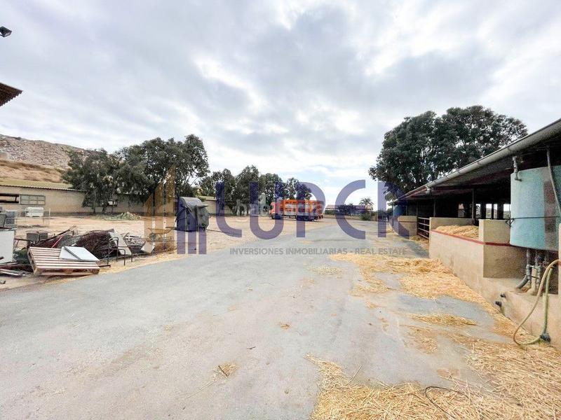 Foto eda06fb9-a476-42fa-a386-4b0afa6ddf7f. Casale in Pla de la Vallonga Alicante