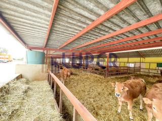 Mas à Pla de la Vallonga. Se vende finca granja agricola de alta producción