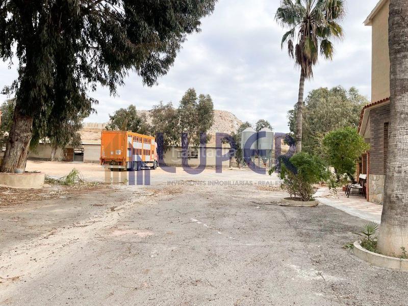 Foto ffa9c54d-7e31-4514-913b-67ce0e215e65. Casale in Pla de la Vallonga Alicante