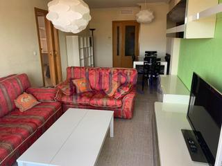 Flat in Parque Lo Torrent