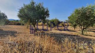 Rural plot in Biar