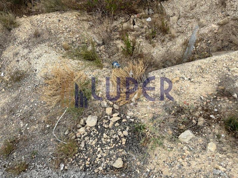 Foto 8c830a84-e569-481b-894a-a67c55e422fa. Fondo rustico in El Verdegàs Alicante