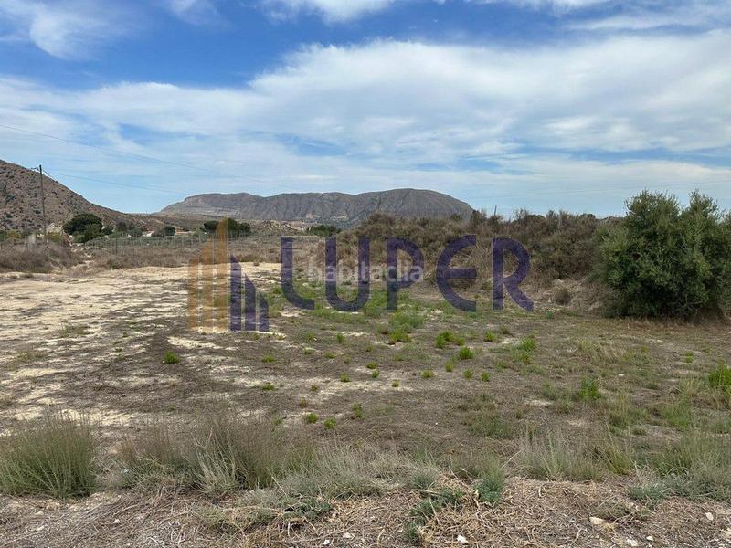 Foto b4a8d354-75bb-4fd0-a347-d7670344d8aa. Finca rústica en El Verdegàs Alicante