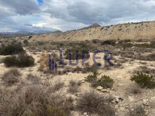 Rural plot in Valle del Sol