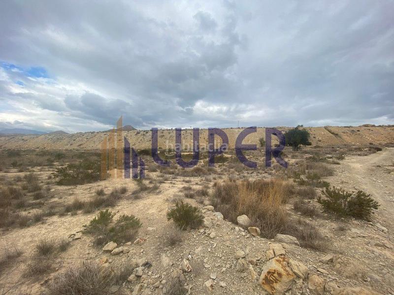 Foto 3663679e-3a5b-4fad-b691-5d13a6abdcc4. Finca rústica en Valle del Sol Mutxamel