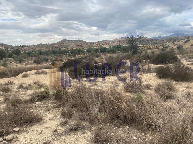 Foto a0054b1f-1359-4760-bb4a-ccbaba8301bb. Finca rústica en Valle del Sol Mutxamel