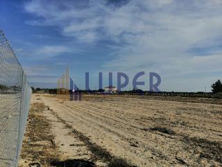 Rural plot in Agost
