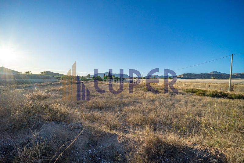 Foto 1e85ab5d-f15f-443d-9728-bf69049032e5. Landgut in Agost