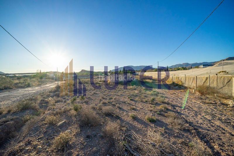 Foto d4ef36d7-58ff-49be-aa6d-cca86222d4f5. Landgut in Agost