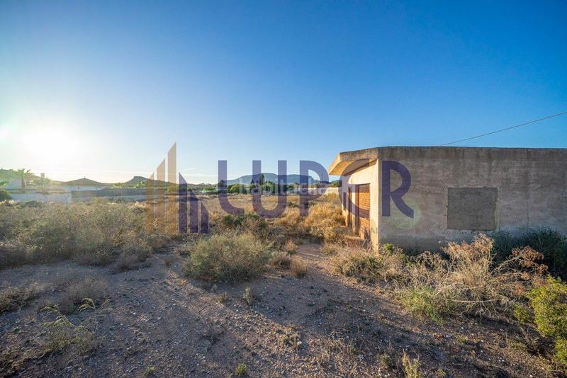 Foto e1c2ae50-f5a8-4693-9bf1-482cb7e7df0e. Landgut in Agost