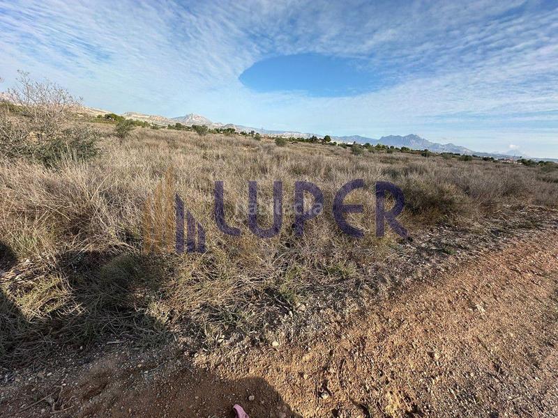 Foto e16a3c8b-f830-4adc-8329-76501d2d8001. Propriété dans La Alcoraya Alicante