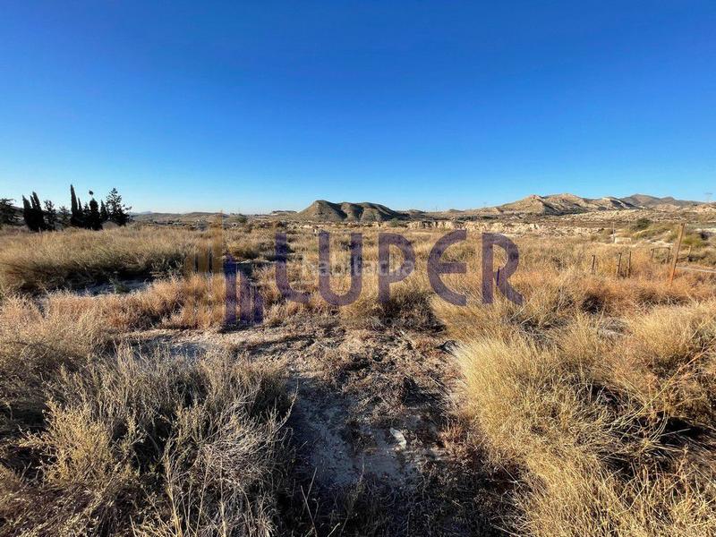 Foto 2b49e3cd-654a-4a87-8a50-ba324afd135b. Finca rústica a Montnegre Alicante