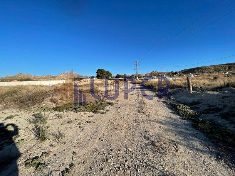 Foto 5937c533-d2bc-4b12-90d0-78511b0248f5. Finca rústica a Montnegre Alicante