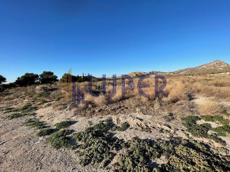 Foto 5bf705bb-5e23-42ff-96ca-8a20e97bf6ea. Finca rústica en Montnegre Alicante