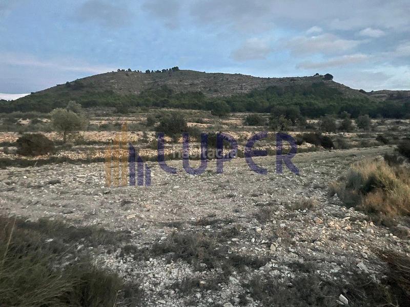 Foto 0dab5cef-9e41-4659-b303-88360a264505. Fondo rustico in Agost