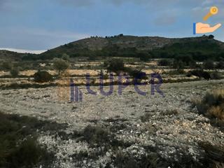 Rural plot in Agost