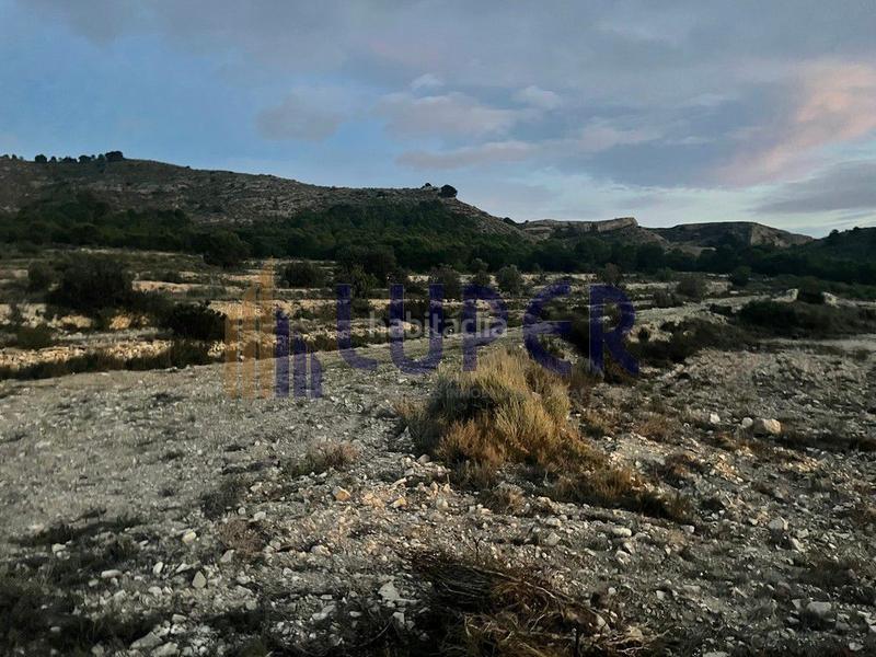 Foto 02336ffd-fe75-4265-bd1d-6144871a10af. Finca rústica a Agost