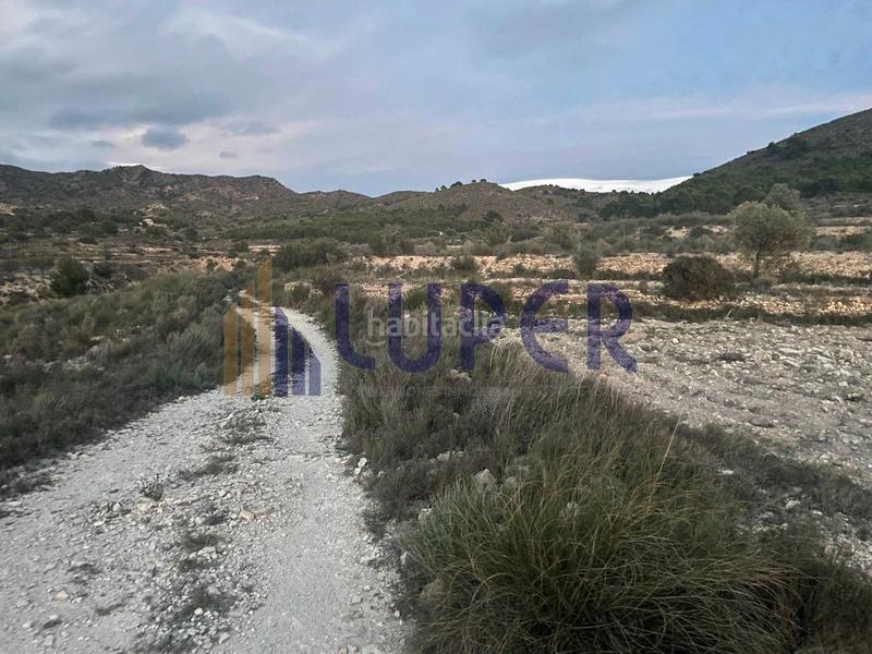 Foto 29303599-3084-4295-97e7-305a4ce76e04. Finca rústica en Agost