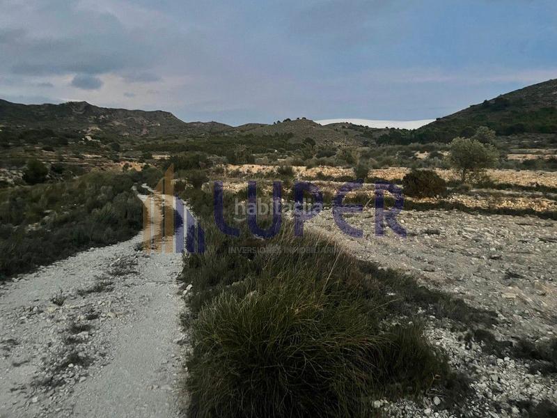 Foto 7859a796-82e1-45db-99b4-541b65cca00d. Finca rústica en Agost