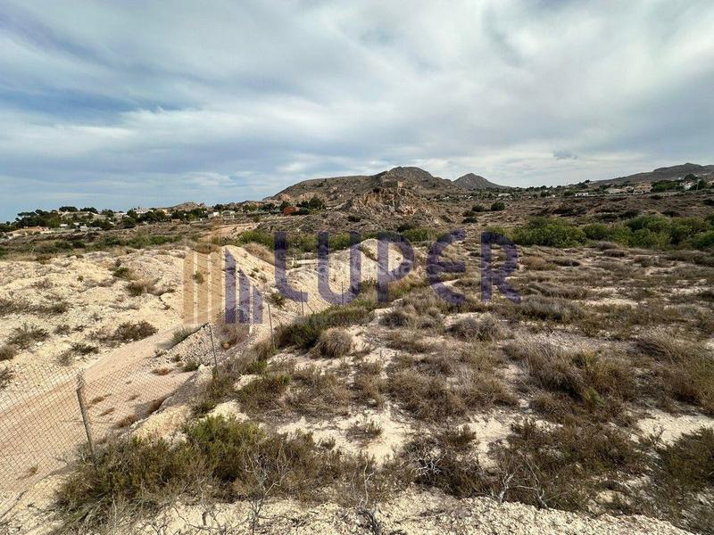 Foto 10c97b81-b657-46f1-a604-0b1cb958d1c8. Finca rústica a Centro Mutxamel