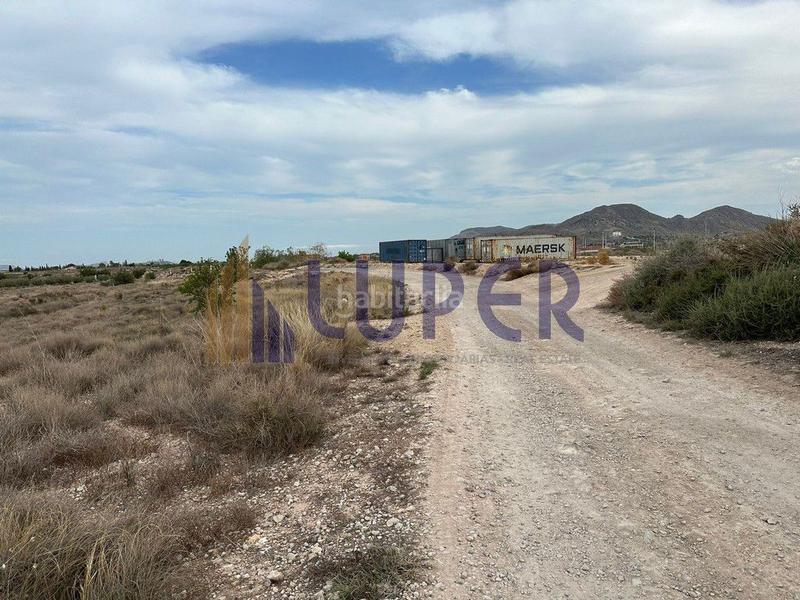Foto 582039a1-6706-4d78-8e19-c93545d5faa8. Finca rústica a Centro Mutxamel