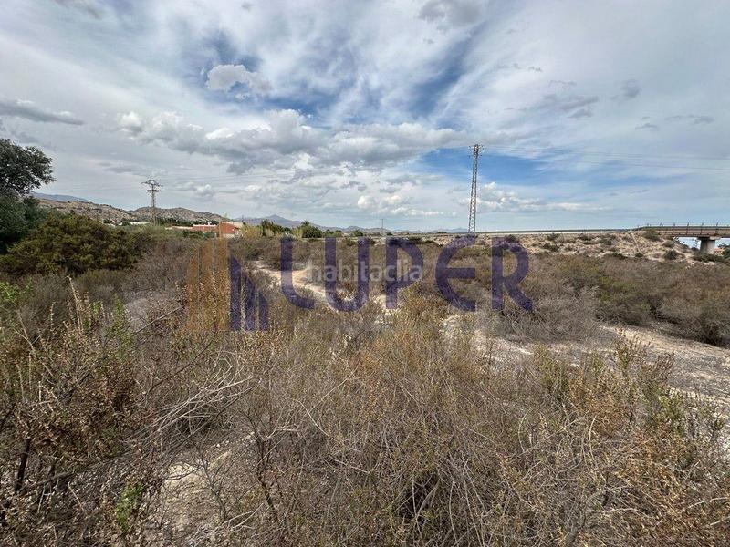 Foto 6f0fbc04-65a6-4a05-b4e5-767157826e13. Finca rústica a Centro Mutxamel