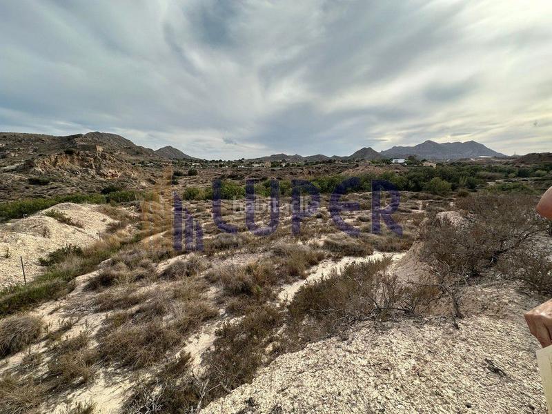 Foto f8ee7af3-9849-486b-8128-761b898ff1a9. Finca rústica a Centro Mutxamel