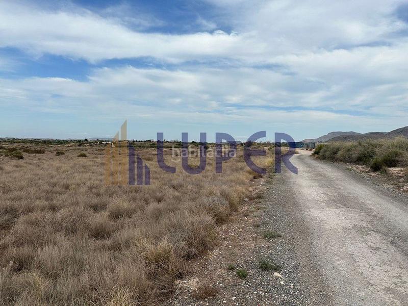 Foto ffdaffa4-5f56-4d67-82c8-b29b0e9c2300. Finca rústica a Centro Mutxamel