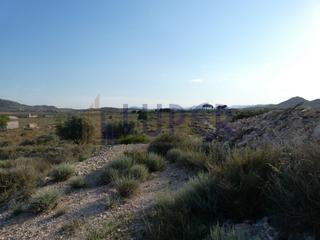 Mas à Agost