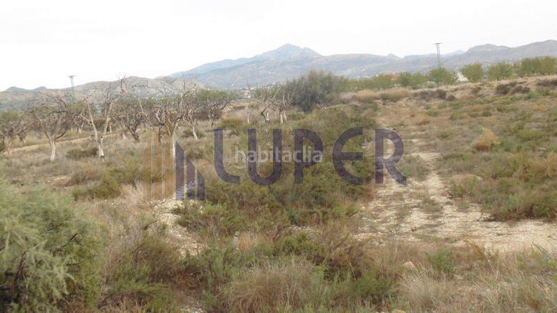 Foto 3e43f96d-3ec2-4fc0-87f3-f21887f598bf. Finca rústica a Agost