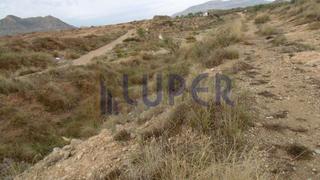 Finca rústica a Agost