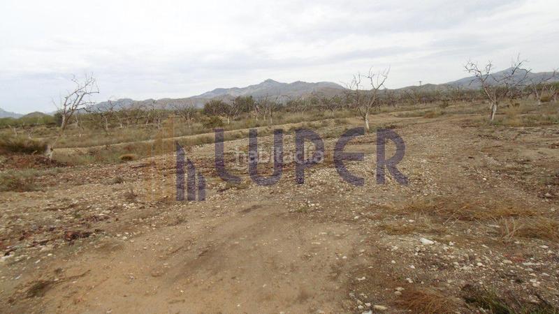 Foto 1694d322-792b-48c9-84f4-9a9dc0a41ab6. Finca rústica en Agost