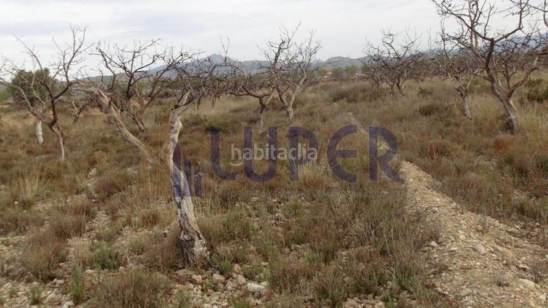 Foto a28a02d2-617a-44bc-b49d-b65982017921. Finca rústica en Agost