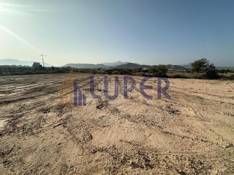 Foto 17b41df5-65df-4029-9f76-c5cf74e5939d. Finca rústica terreno rústico en san vicente, verdegas. en Sant Vicent del Raspeig