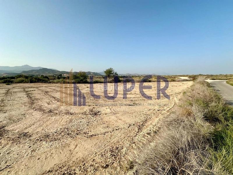 Foto 3e8b6c83-f056-4ba9-8e52-dc049fb9e07e. Finca rústica terreno rústico en san vicente, verdegas. en Sant Vicent del Raspeig