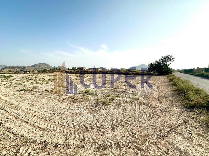 Foto b669e8e8-7e5f-46ec-9e95-368bad0118ca. Finca rústica terreno rústico en san vicente, verdegas. en Sant Vicent del Raspeig