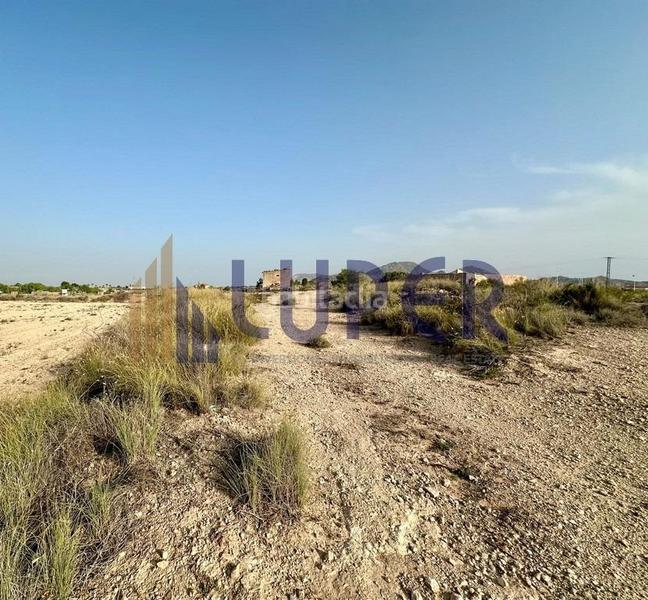 Foto d807af9c-cbff-4e65-aa7e-7742c47dd612. Finca rústica terreno rústico en san vicente, verdegas. en Sant Vicent del Raspeig