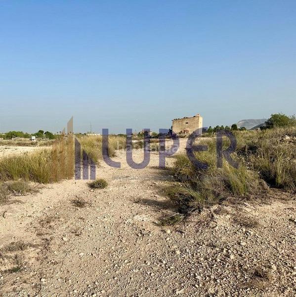 Foto f3cc55ad-f0f5-4bb9-a98a-68eaac311aa8. Finca rústica terreno rústico en san vicente, verdegas. en Sant Vicent del Raspeig